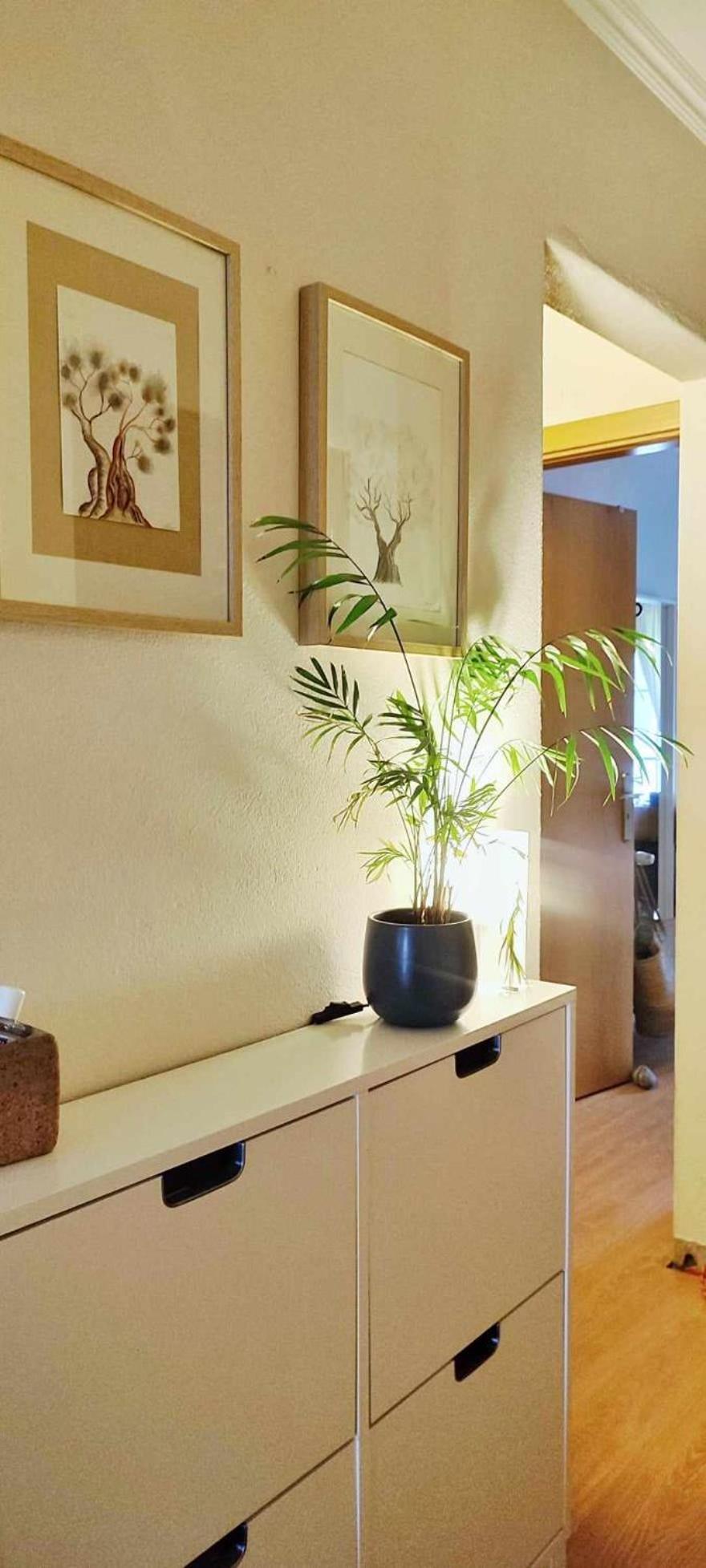 Apartmento Soma 알제주르 외부 사진